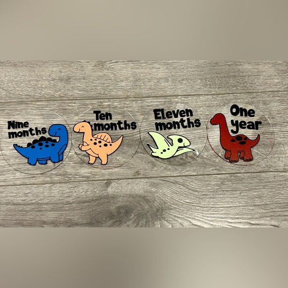 Dinosaur Baby Milestone Discs - Picture 4 of 6